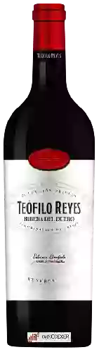 Bodegas Reyes - Teófilo Reyes Reserva