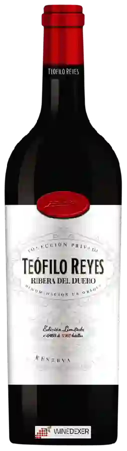 Bodegas Reyes - Teófilo Reyes Reserva