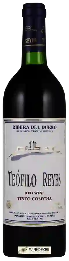 Bodegas Reyes - Teófilo Reyes Tinto