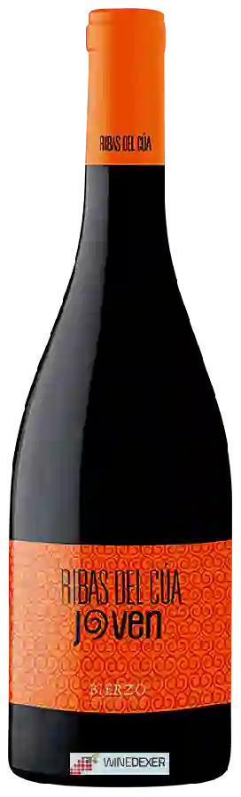 Winery Ribas del Cúa - Joven