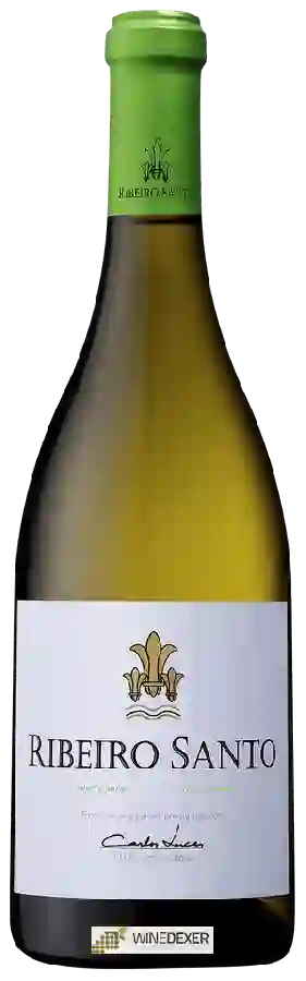 Winery Ribeiro Santo - Branco Winery Ribeiro Santo - Branco