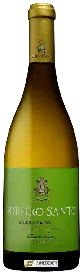 Winery Ribeiro Santo - Encruzado Winery Ribeiro Santo - Encruzado