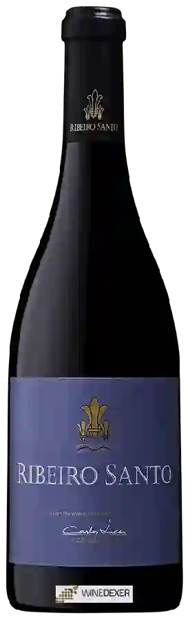 Winery Ribeiro Santo - Grande Escolha Winery Ribeiro Santo - Grande Escolha