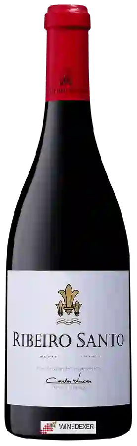 Winery Ribeiro Santo - Tinto