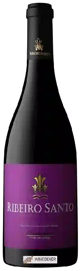 Winery Ribeiro Santo - Touriga Nacional