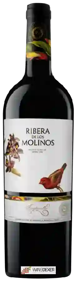Winery Ribera de Los Molinos - Tempranillo Winery Ribera de Los Molinos - Tempranillo