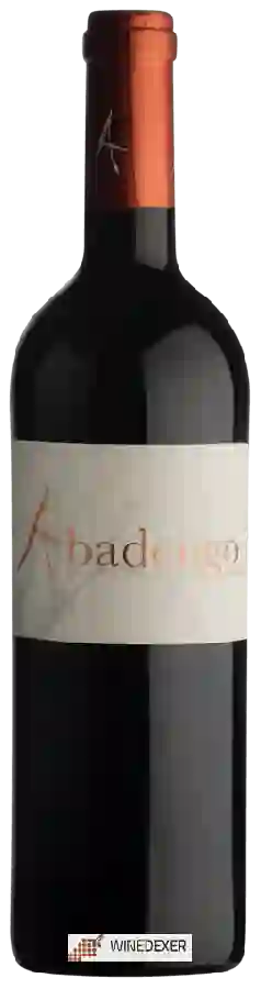 Winery Ribera de Pelazas - Abadengo Reserva