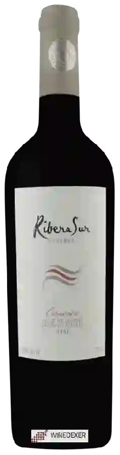 Winery Ribera Sur - Reserva Carmenère