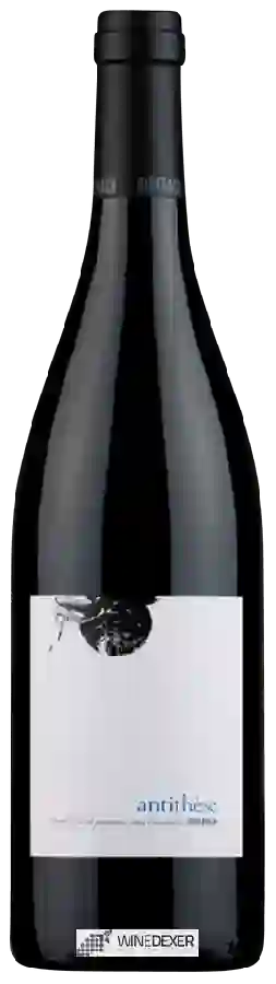 Winery Riberach - Antithèse Winery Riberach - Antithèse