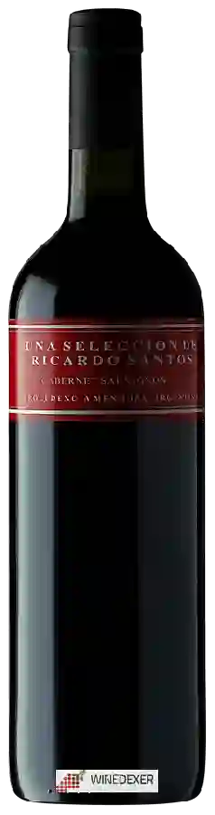 Winery Ricardo Santos - Cabernet Sauvignon (Una Seleccion) Winery Ricardo Santos - Cabernet Sauvignon (Una Seleccion)