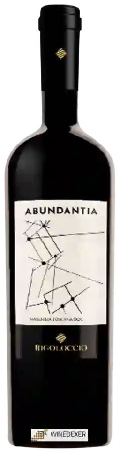 Winery Rigoloccio - Abundantia Merlot