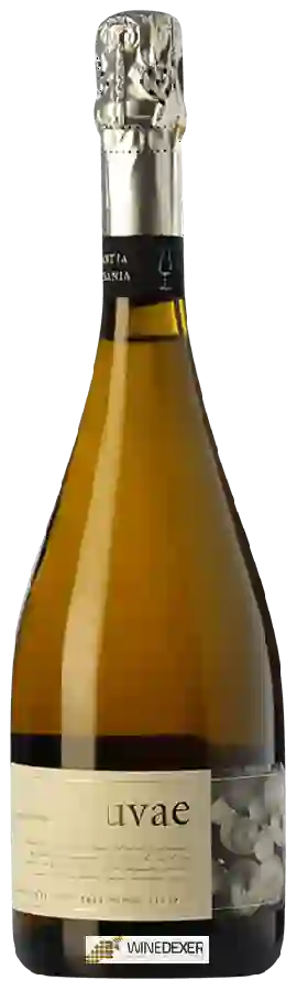 Winery Rimarts - Cava Uvae Brut Nature Winery Rimarts - Cava Uvae Brut Nature