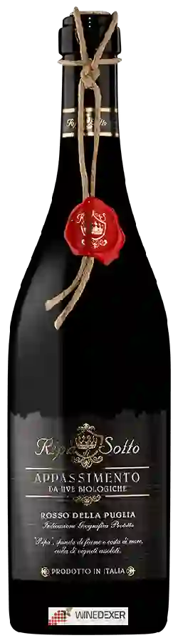 Winery Ripa di Sotto - Appassimento