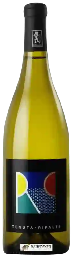 Winery Ripalte - Bianco Winery Ripalte - Bianco