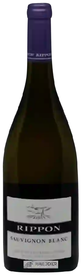 Winery Rippon - Sauvignon Blanc