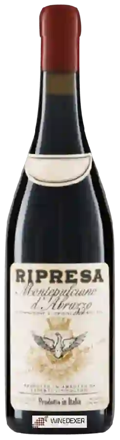 Winery Ripresa - Montepulciano d'Abruzzo Winery Ripresa - Montepulciano d'Abruzzo