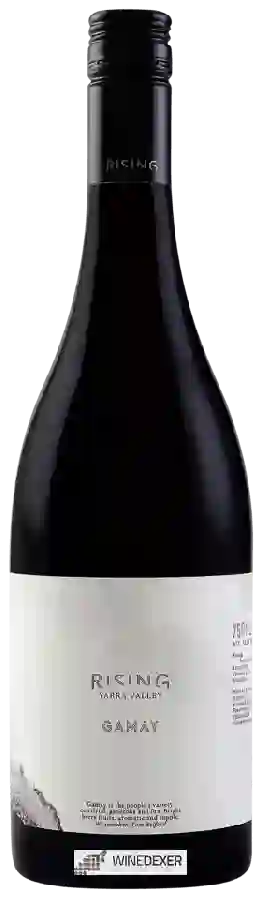 Winery Rising Wines - Gamay