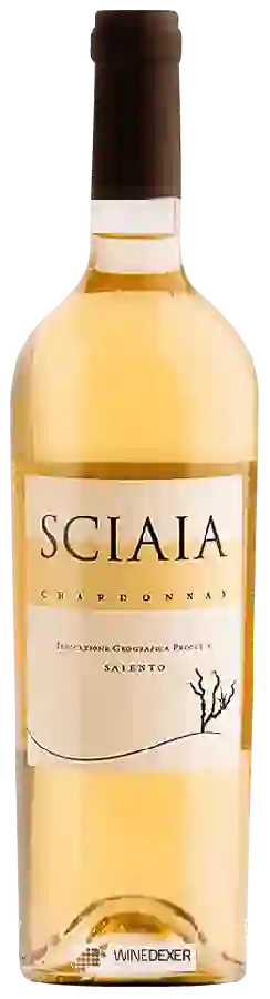 Winery Risveglio - Sciaia Chardonnay Winery Risveglio - Sciaia Chardonnay