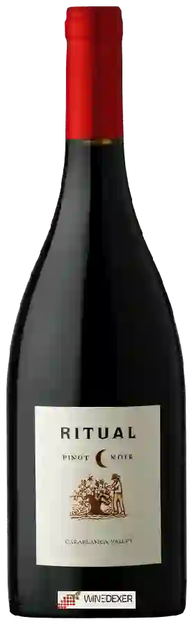 Winery Ritual - Pinot Noir