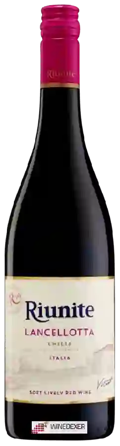 Winery Riunite - Lancellotta Emilia