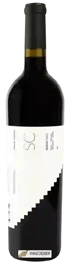 Winery Rivero Gonzalez - SC Scielo Tinto