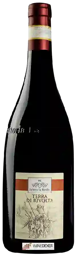 Winery Fattoria La Rivolta - Terra di Rivolta