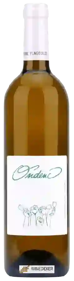 Winery Robert & Bernard Plageoles - Ondenc Blanc