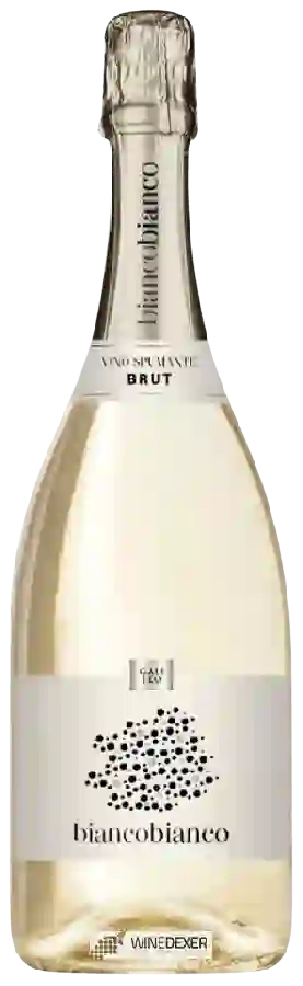 Winery Rocca delle Macìe - Galileo Bianco Bianco Winery Rocca delle Macìe - Galileo Bianco Bianco