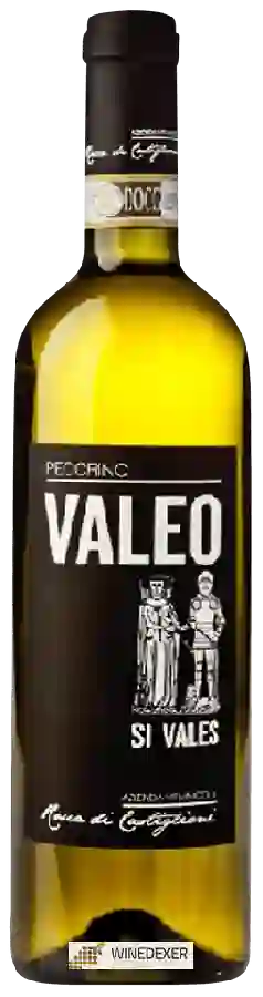 Winery Rocca di Castiglioni - Valeo Si Vales Pecorino