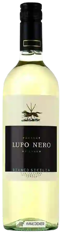 Winery Rocca - Lupo Nero Winery Rocca - Lupo Nero