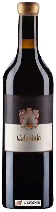 Winery Roccapesta - Calestaia Winery Roccapesta - Calestaia