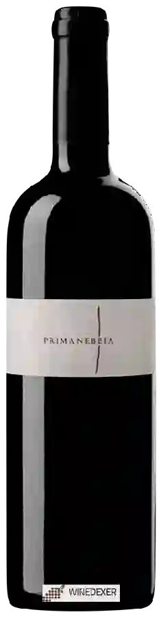 Winery Rocche dei Barbari - Primanebbia