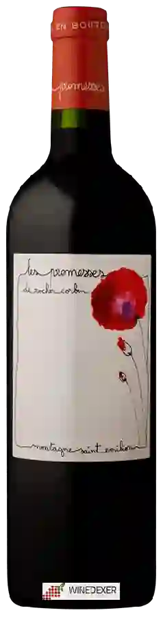 Château Rocher Corbin - Les Promesses de Rocher Corbin Montagne Saint-Émilion