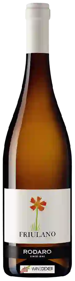 Winery Rodaro - Friulano