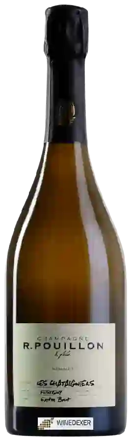Winery Roger Pouillon & Fils - Les Châtaigniers Extra Brut Champagne