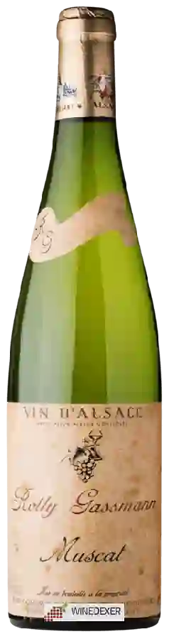 Winery Rolly Gassmann - Muscat