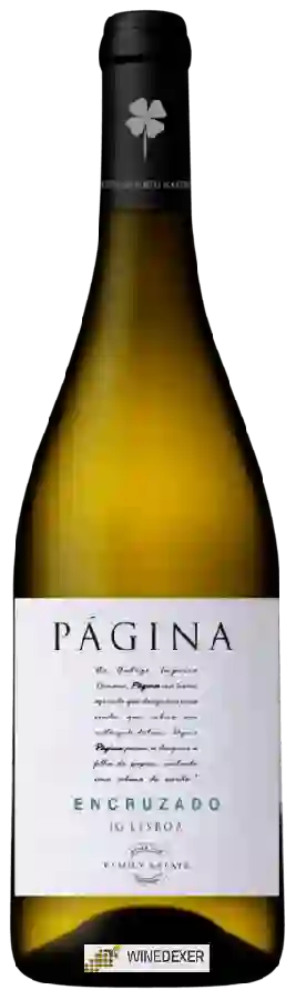 Winery Romana Vini - P&aacutegina Encruzado