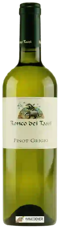 Winery Ronco dei Tassi - Pinot Grigio