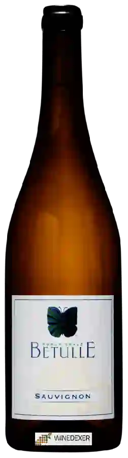 Winery Ronco delle Betulle - Sauvignon Winery Ronco delle Betulle - Sauvignon