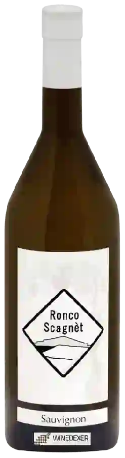 Winery Ronco Scagnet - Sauvignon