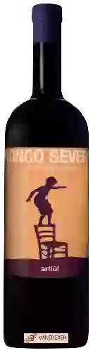 Winery Ronco Severo - Artiùl