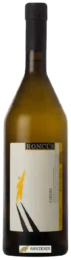 Winery Roncús - Collio