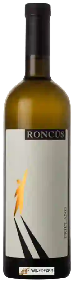 Winery Roncús - Friulano