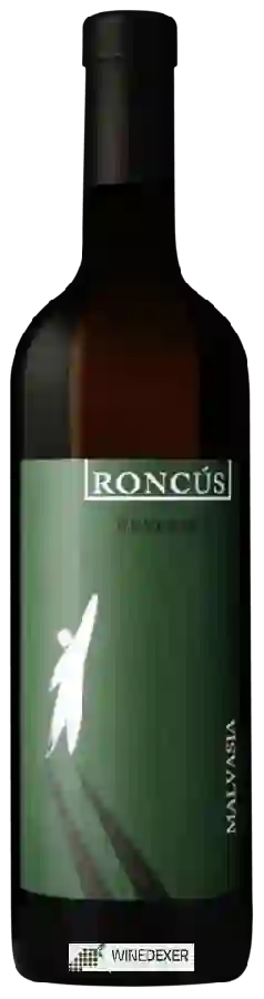 Winery Roncús - Malvasia