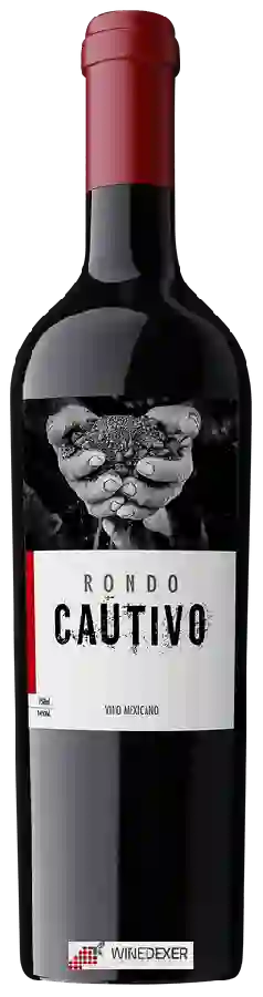 Winery Rondo del Valle - Cautivo