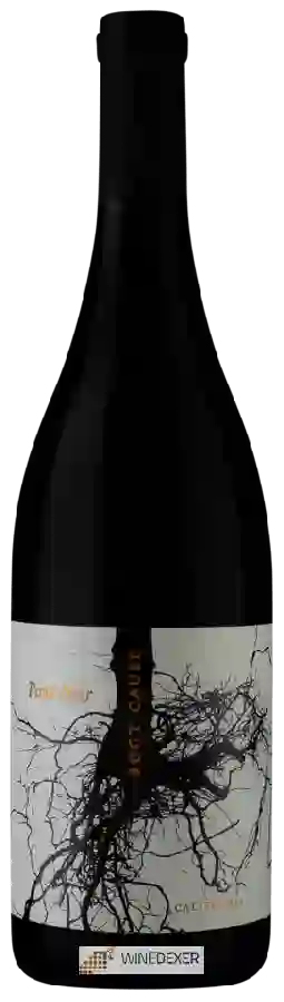 Winery Root Cause - Pinot Noir