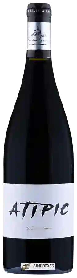 Winery Roquebrun - Atipic