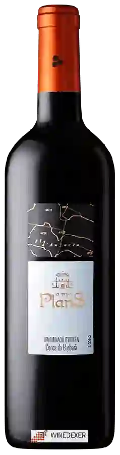 Winery Rosa Maria Torres - Vinya Plans Tinto