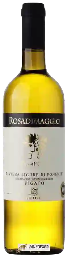 Winery Rosadimaggio - Ampelos Pigato Riviera Ligure di Ponente Winery Rosadimaggio - Ampelos Pigato Riviera Ligure di Ponente
