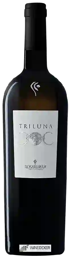 Winery Rosarubra - Triluna